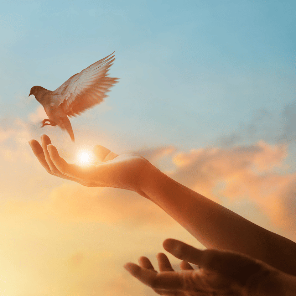 Weibliche Schöpferkraft, wilde und zugleich zarte Frauen, Schwesternschaft